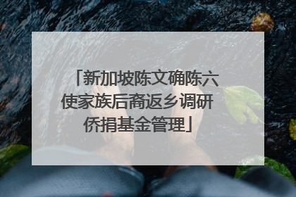 新加坡陈文确陈六使家族后裔返乡调研侨捐基金管理