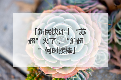 新民快评丨“苏超”火了，“沪超”何时接棒