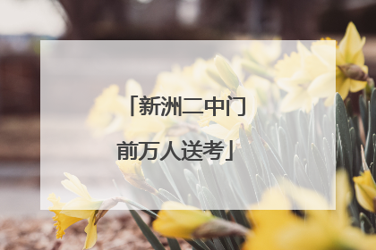新洲二中门前万人送考