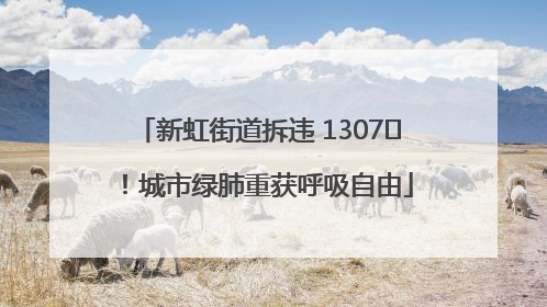 新虹街道拆违 1307㎡！城市绿肺重获呼吸自由