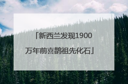 新西兰发现1900万年前喜鹊祖先化石