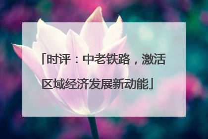 时评：中老铁路，激活区域经济发展新动能