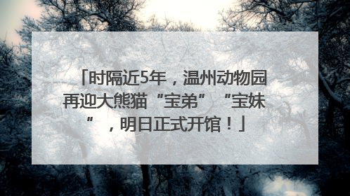 时隔近5年，温州动物园再迎大熊猫“宝弟”“宝妹”，明日正式开馆！