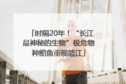 时隔20年！“长江最神秘的生物”极危物种鳤鱼重现赣江