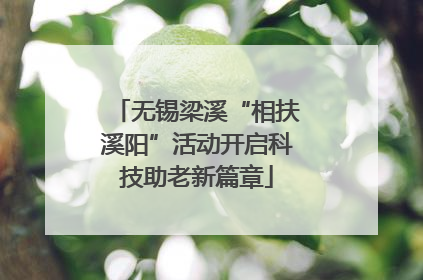 无锡梁溪“相扶溪阳”活动开启科技助老新篇章