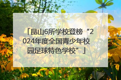 昆山6所学校登榜“2024年度全国青少年校园足球特色学校”
