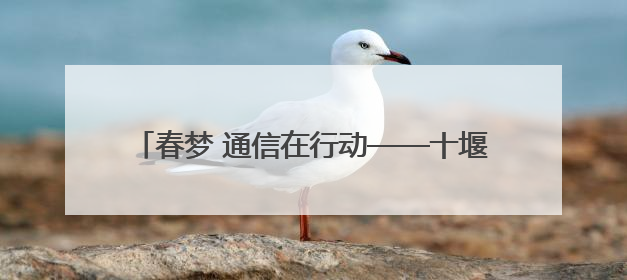春梦 通信在行动——十堰联通圆满完成2025年
