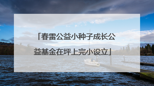 春雷公益小种子成长公益基金在坪上完小设立