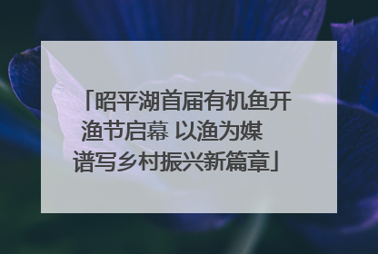 昭平湖首届有机鱼开渔节启幕 以渔为媒 谱写乡村振兴新篇章