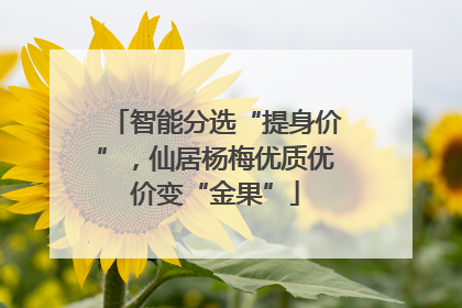 智能分选“提身价”，仙居杨梅优质优价变“金果”