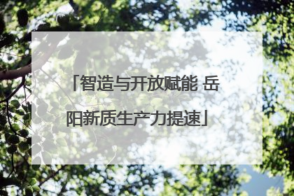 智造与开放赋能 岳阳新质生产力提速