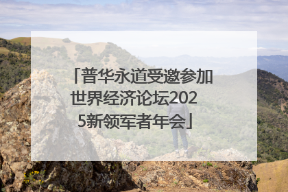 普华永道受邀参加世界经济论坛2025新领军者年会