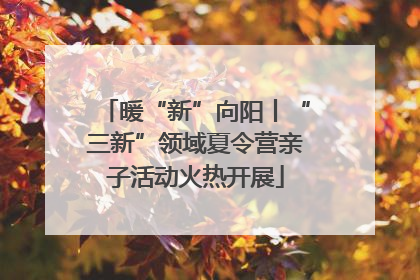 暖“新”向阳丨“三新”领域夏令营亲子活动火热开展