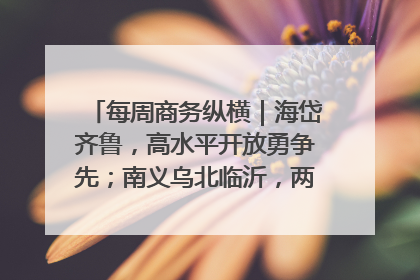 每周商务纵横｜海岱齐鲁，高水平开放勇争先；南义乌北临沂，两扇窗里观外贸