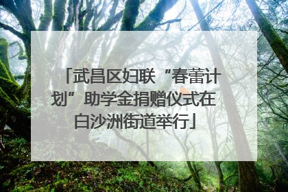 武昌区妇联“春蕾计划”助学金捐赠仪式在白沙洲街道举行