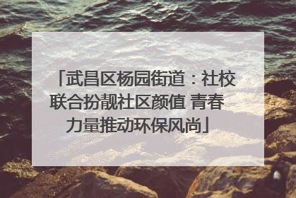 武昌区杨园街道：社校联合扮靓社区颜值 青春力量推动环保风尚