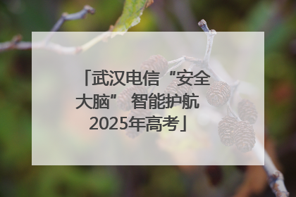 武汉电信“安全大脑” 智能护航2025年高考