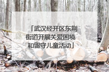 武汉经开区东荆街道开展关爱困境和留守儿童活动