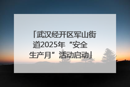 武汉经开区军山街道2025年“安全生产月”活动启动