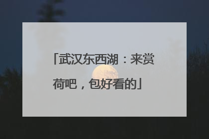 武汉东西湖：来赏荷吧，包好看的