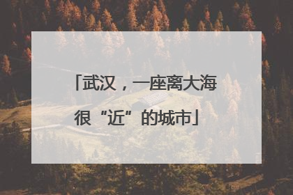 武汉，一座离大海很“近”的城市