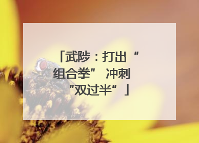 武陟：打出“组合拳” 冲刺“双过半”