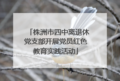 株洲市四中离退休党支部开展党员红色教育实践活动