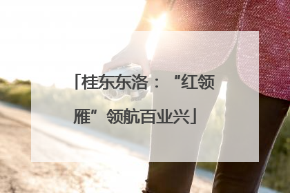 桂东东洛：“红领雁”领航百业兴