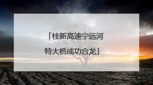 桂新高速宁远河特大桥成功合龙