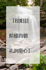 桂阳县：阶梯育德 礼润童心