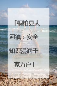 桐柏县大河镇：安全知识浸润千家万户