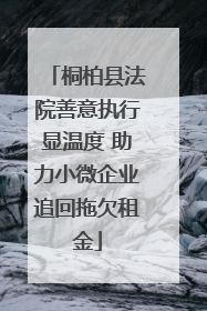 桐柏县法院善意执行显温度 助力小微企业追回拖欠租金