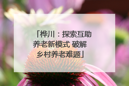 桦川：探索互助养老新模式 破解乡村养老难题