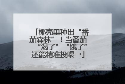 椰壳里种出“番茄森林”！当番茄“渴了”“饿了”还能精准投喂→