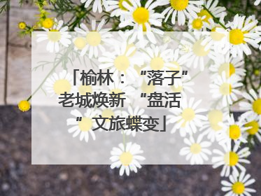 榆林：“落子”老城焕新 “盘活”文旅蝶变
