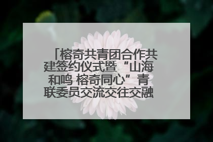 榕奇共青团合作共建签约仪式暨“山海和鸣 榕奇同心”青联委员交流交往交融活动在福州举行