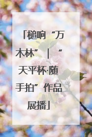 槌响“万木林”｜“天平杯·随手拍”作品展播