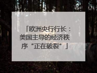 欧洲央行行长：美国主导的经济秩序“正在破裂”