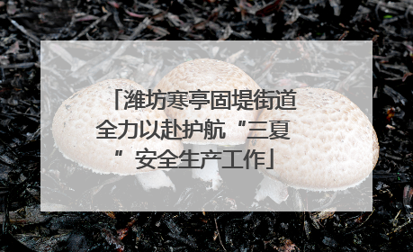 潍坊寒亭固堤街道全力以赴护航“三夏”安全生产工作