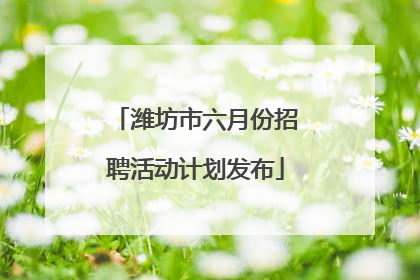 潍坊市六月份招聘活动计划发布