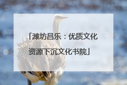 潍坊昌乐：优质文化资源下沉文化书院
