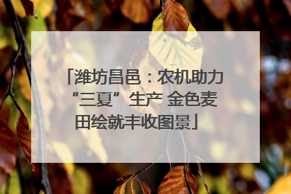 潍坊昌邑：农机助力“三夏”生产 金色麦田绘就丰收图景