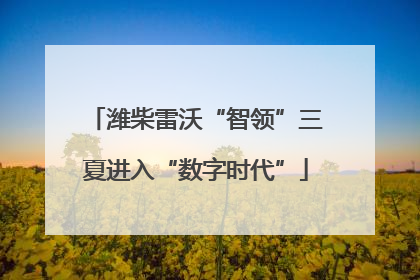 潍柴雷沃“智领”三夏进入“数字时代”