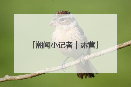潮闻小记者｜露营