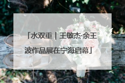 水双重｜王敏杰·余王波作品展在宁海启幕