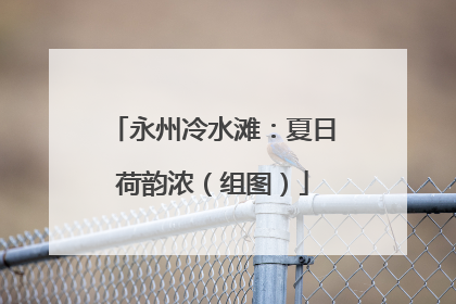永州冷水滩：夏日荷韵浓（组图）