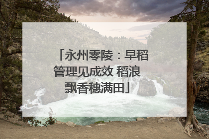 永州零陵：早稻管理见成效 稻浪飘香穗满田