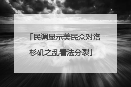 民调显示美民众对洛杉矶之乱看法分裂