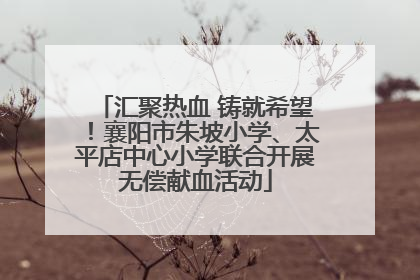 汇聚热血 铸就希望！襄阳市朱坡小学、太平店中心小学联合开展无偿献血活动