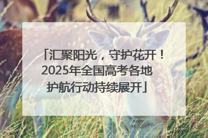 汇聚阳光，守护花开！2025年全国高考各地护航行动持续展开